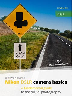 Nikon DSLR camera basics A fundamental guide to the digital photography