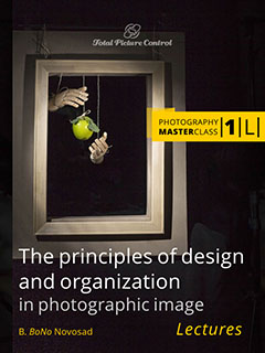 The principles of design and organization in photographic image Photography MasterClass I. (Lectures)