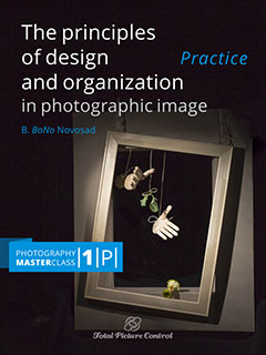 The principles of design and organization in photographic image Photography MasterClass I. (Practice)