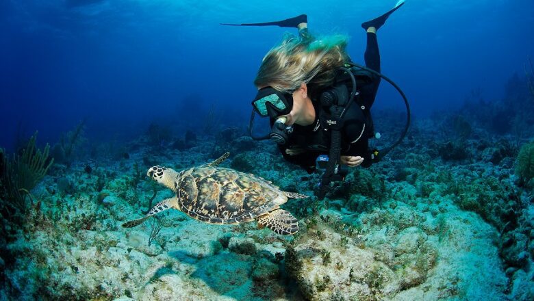 Buceo y Patrimonio, una mezcla que promete inmersiones inolvidables en las Islas Caimán