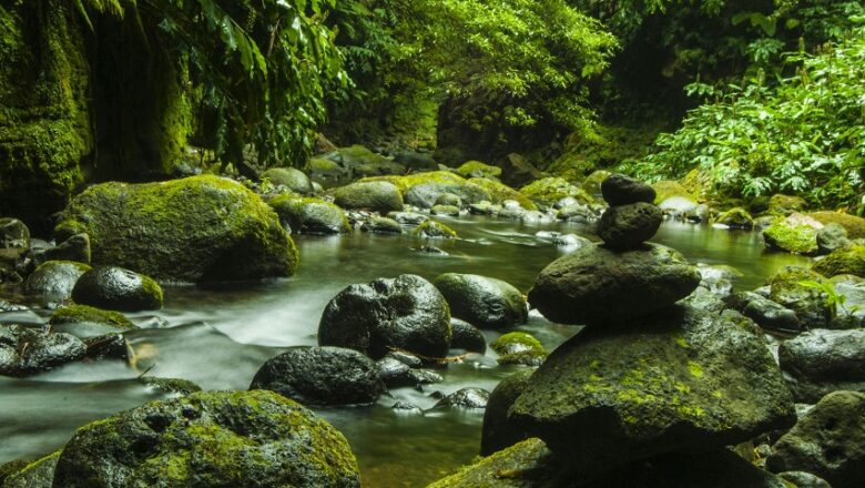 ¡Los colombianos buscan destinos con naturaleza! Aquí 5 de los parques naturales más hermosos de Colombia